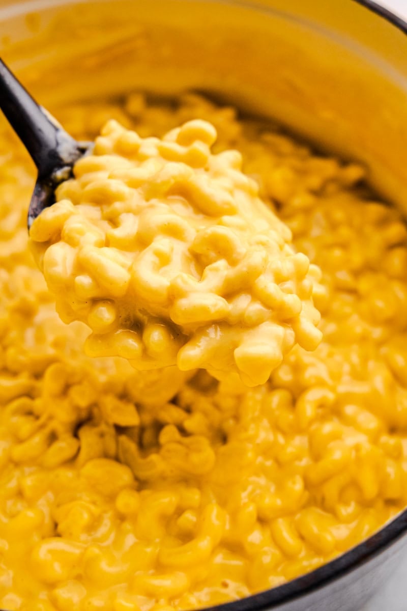 Stovetop Mac and Cheese: 3 Ingredients, 10 Minutes